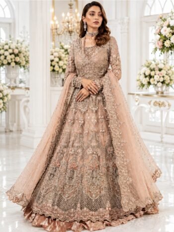 Luxury Wedding & Partywear Embroidered Net Long Maxi (Unstitched)